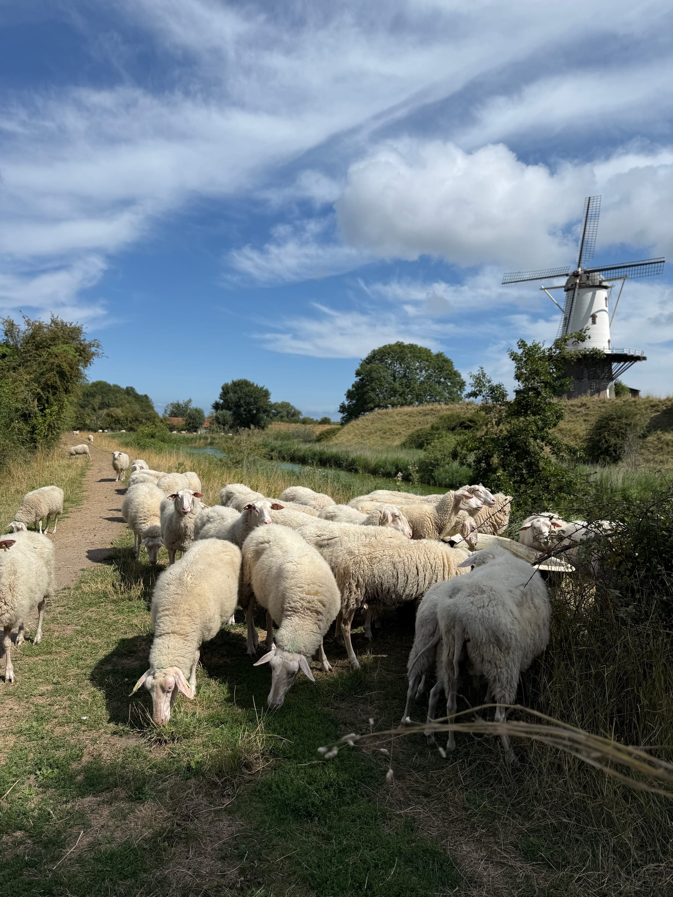 Veere — Holiday in Veere