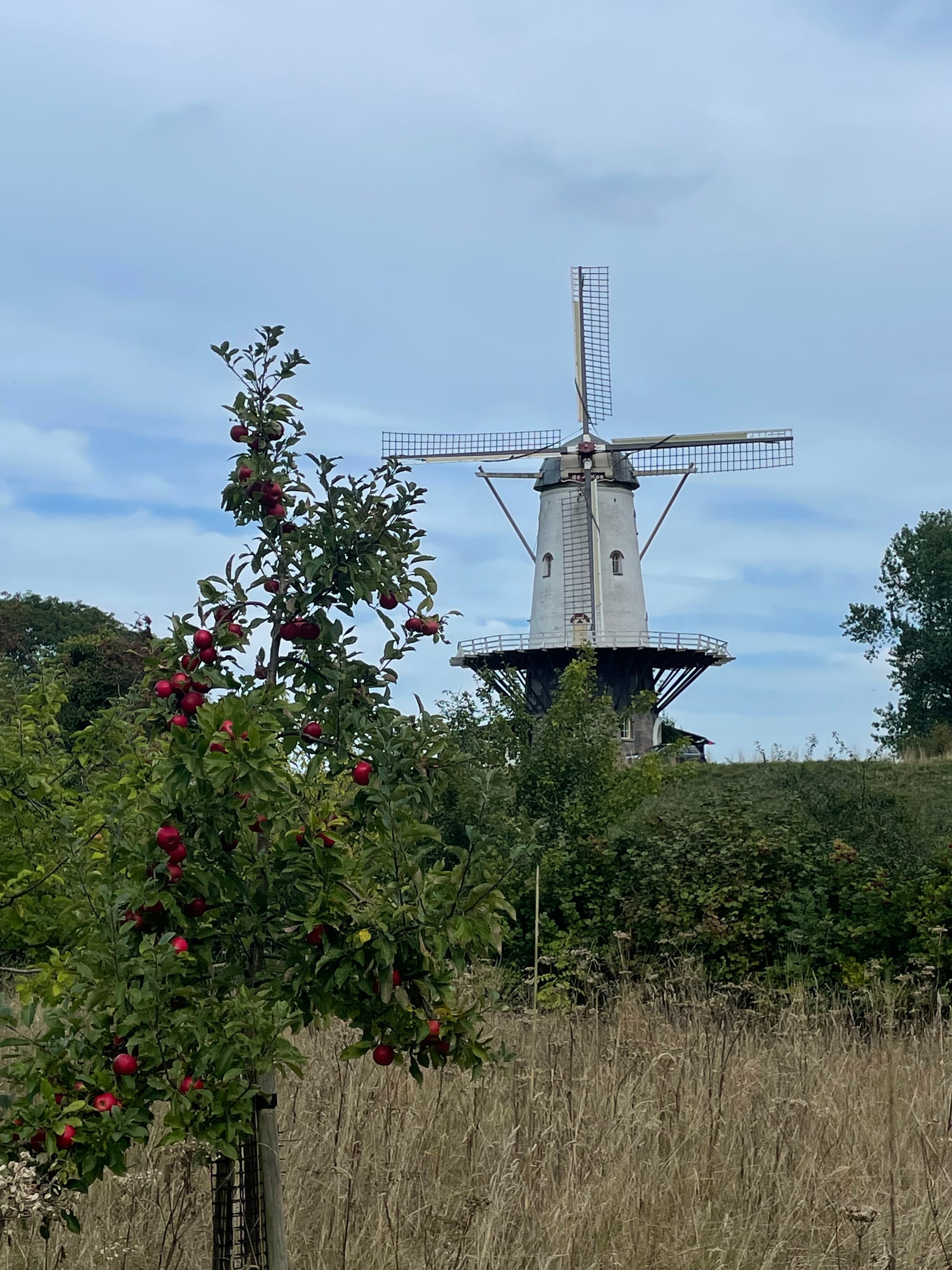 Veere — Holiday in Veere