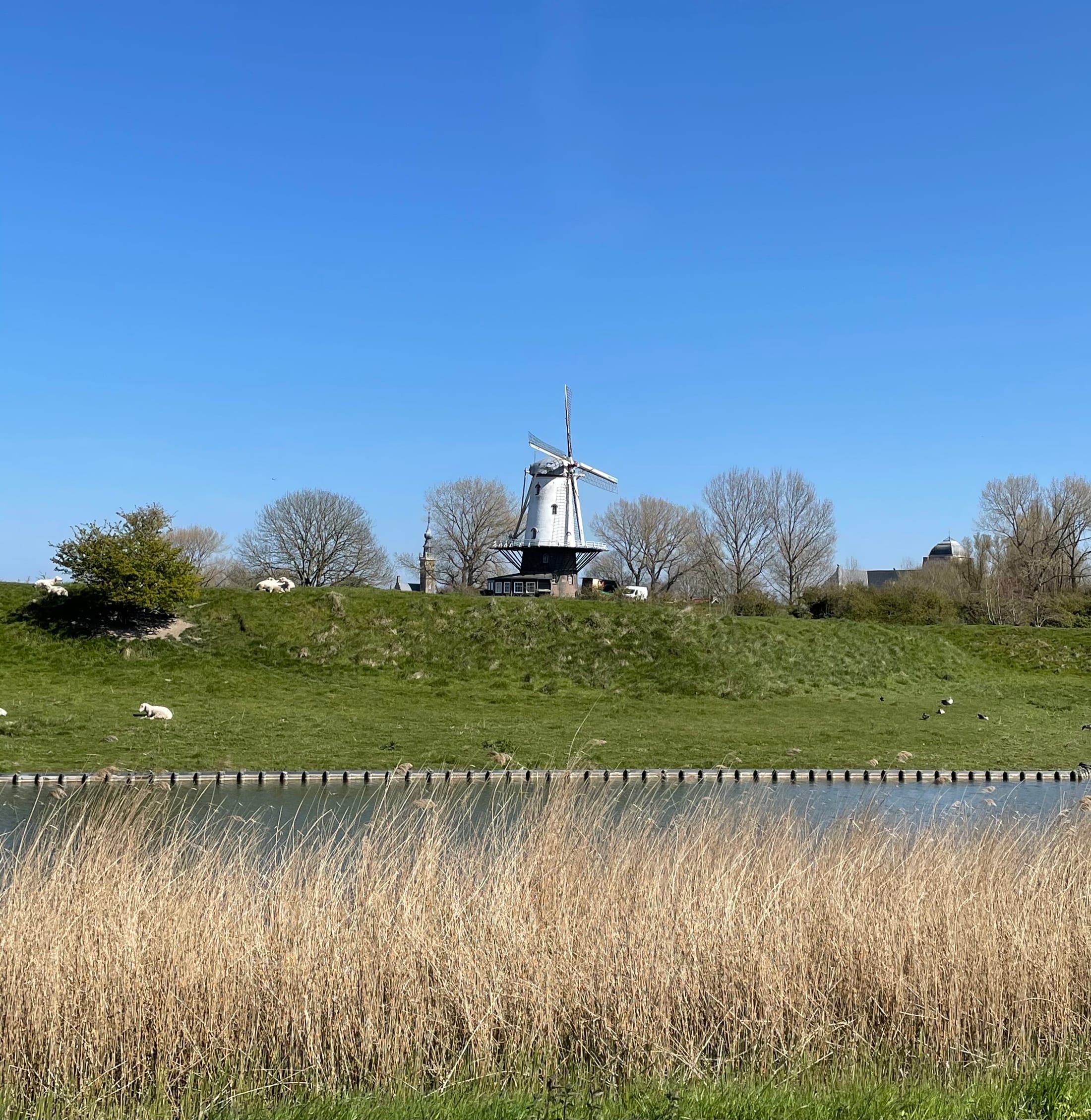 Veere — Holiday in Veere